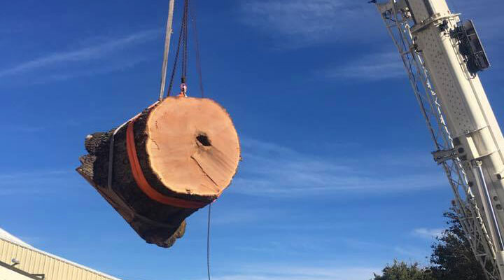 crane rental and rigging